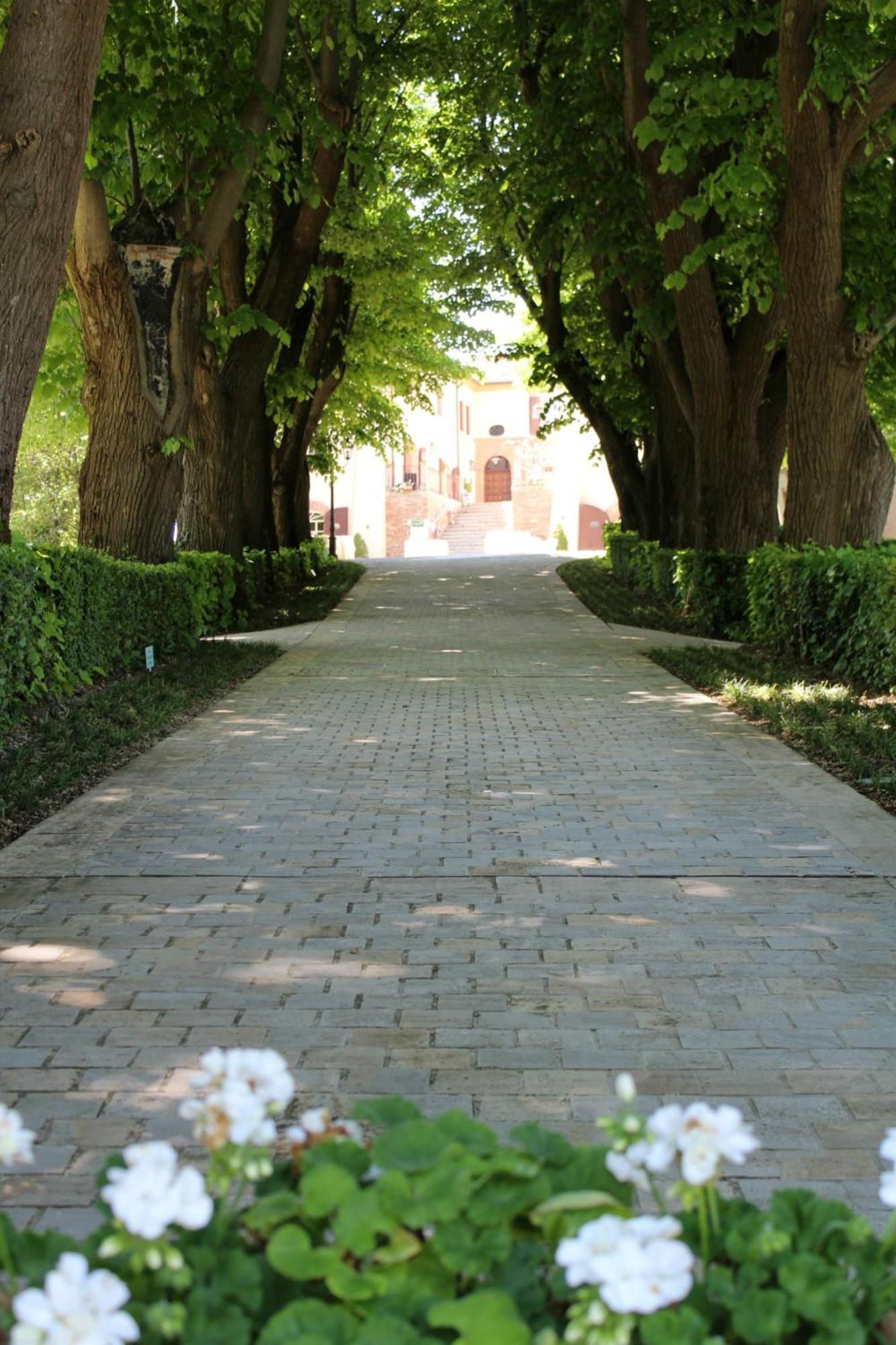 Palazzo Del Poggiano Bed and Breakfast Poggio Berni Εξωτερικό φωτογραφία
